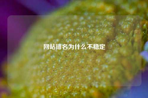 网站排名为什么不稳定