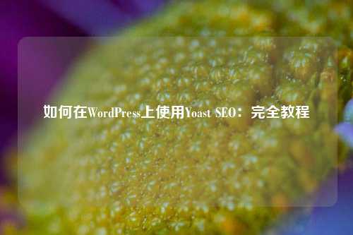 如何在WordPress上使用Yoast SEO：完全教程