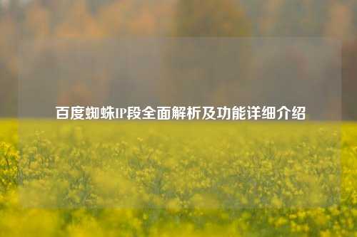  百度蜘蛛IP段全面解析及功能详细介绍